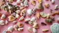 Sea Ã¢â¬â¹Ã¢â¬â¹animal shells like as maolluca and other, this is anature concept